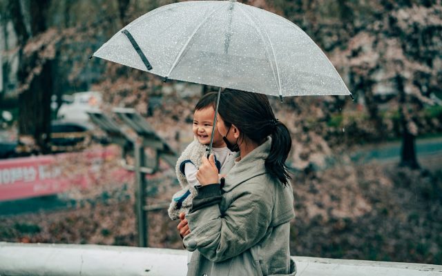 Umbrella Insurance