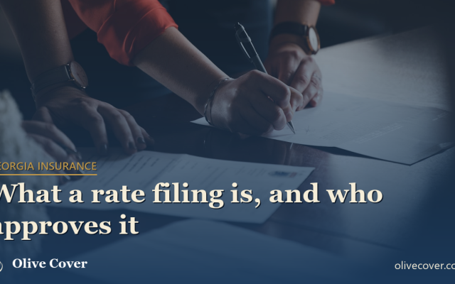 OG card — georgia-insurance-rate-filing-explained
