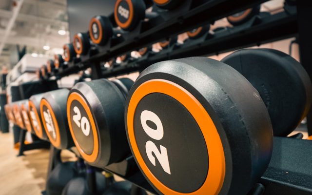 Insurance for gyms, fitness studios, and trainers in Georgia